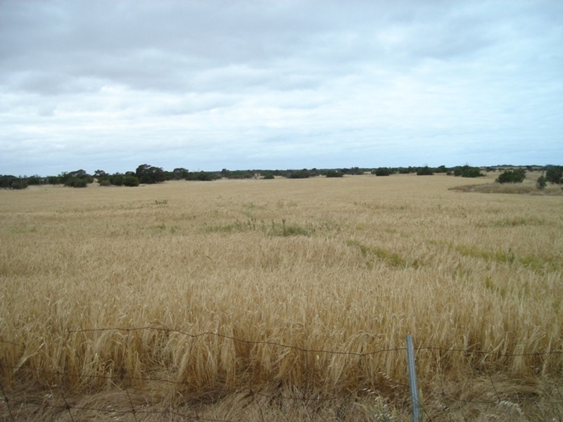 Lot 120 South Coast Road, Warooka SA 5577