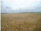 Lot 120 South Coast Road, Warooka SA 5577