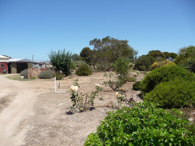 15 Mary Street, Edithburgh SA 5583