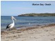 Sec 1097/4 Opsrey Drive, Marion Bay SA 5575