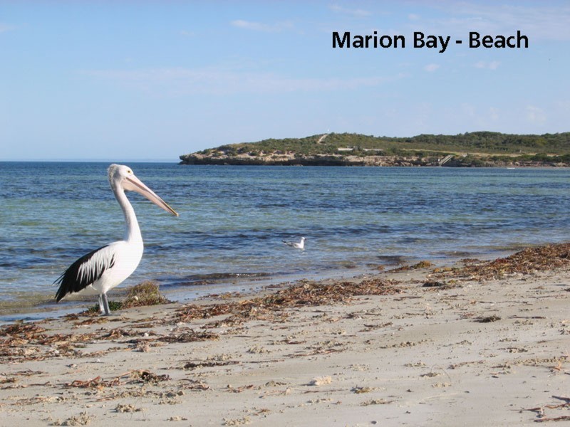 Sec 1097/4 Opsrey Drive, Marion Bay SA 5575
