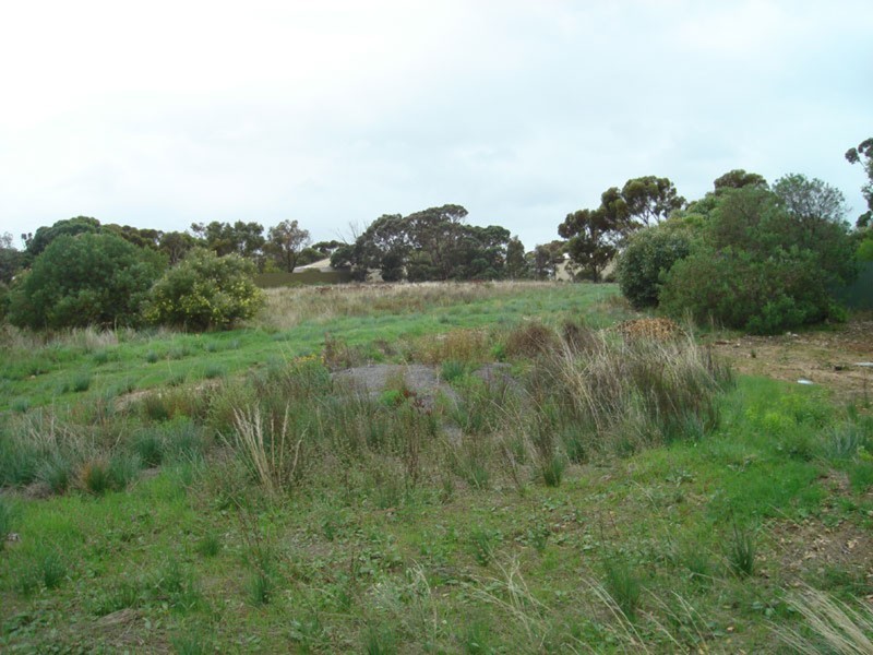 17 Esther Lane, Port Julia SA 5575