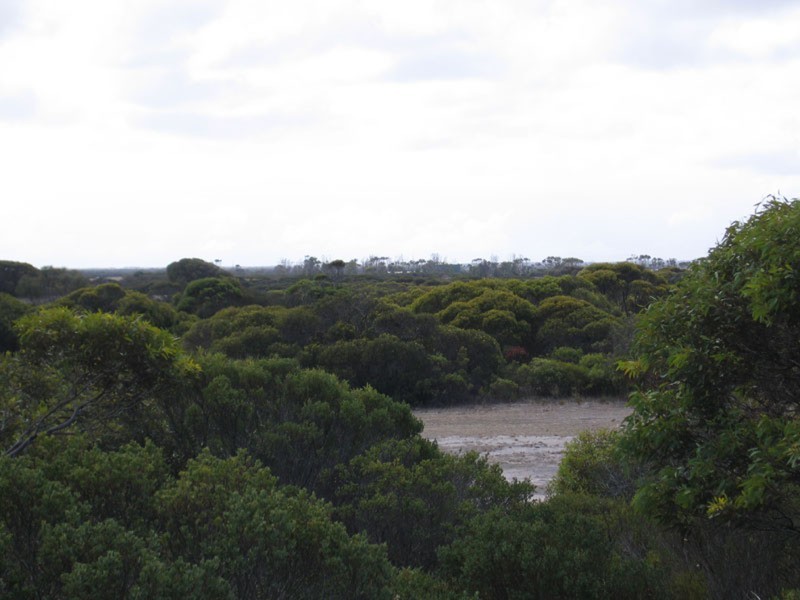 Sec 1242/32 Osprey Drive, Marion Bay SA 5575