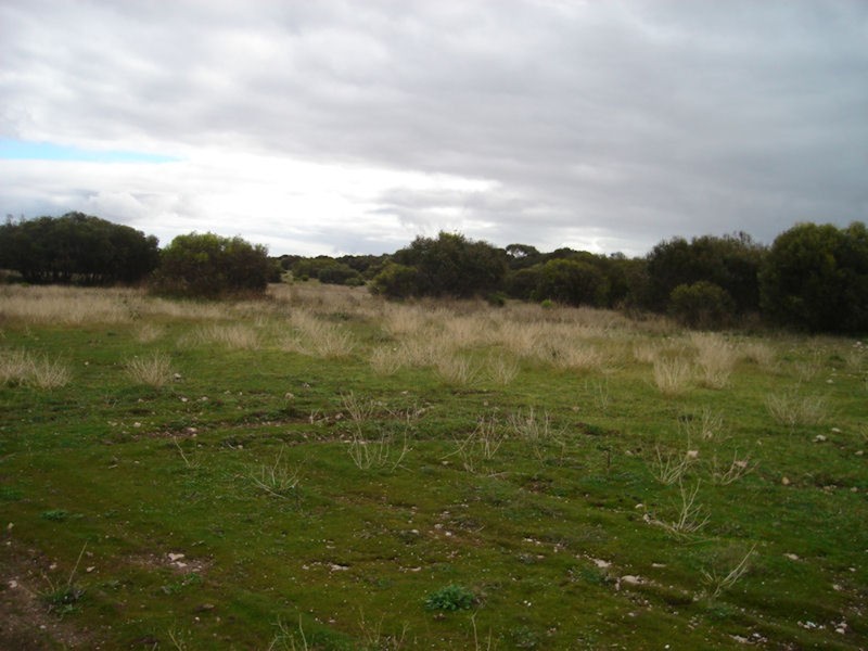 Section/146 Warooka/stenhouse Bay Road, Warooka SA 5577