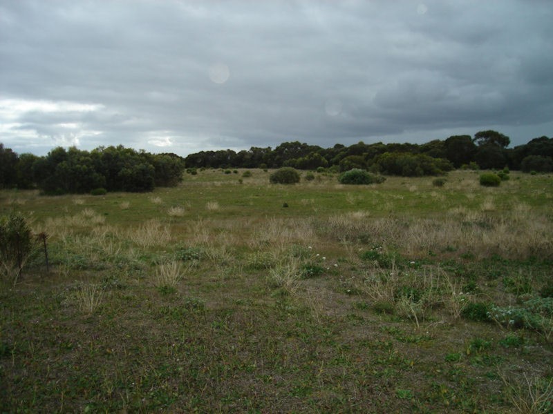 Section/146 Warooka/stenhouse Bay Road, Warooka SA 5577