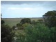 Lot 1/Section 246 Hundred of Coonarie, Warooka SA 5577