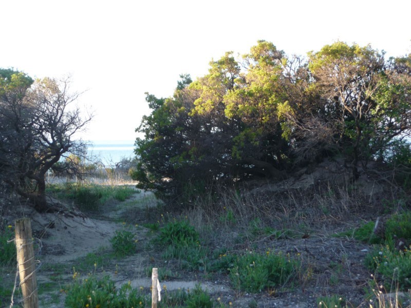 79 Sultana Point Road, Sultana Point Via, Edithburgh SA 5583