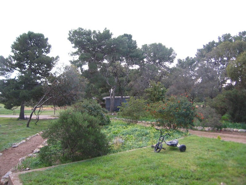 Lot/No 1 Old Port Vincent Road, Minlaton SA 5575