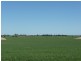 Lot 9 Harry Butler Road, Yorketown SA 5576