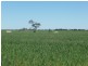 Lot 9 Harry Butler Road, Yorketown SA 5576