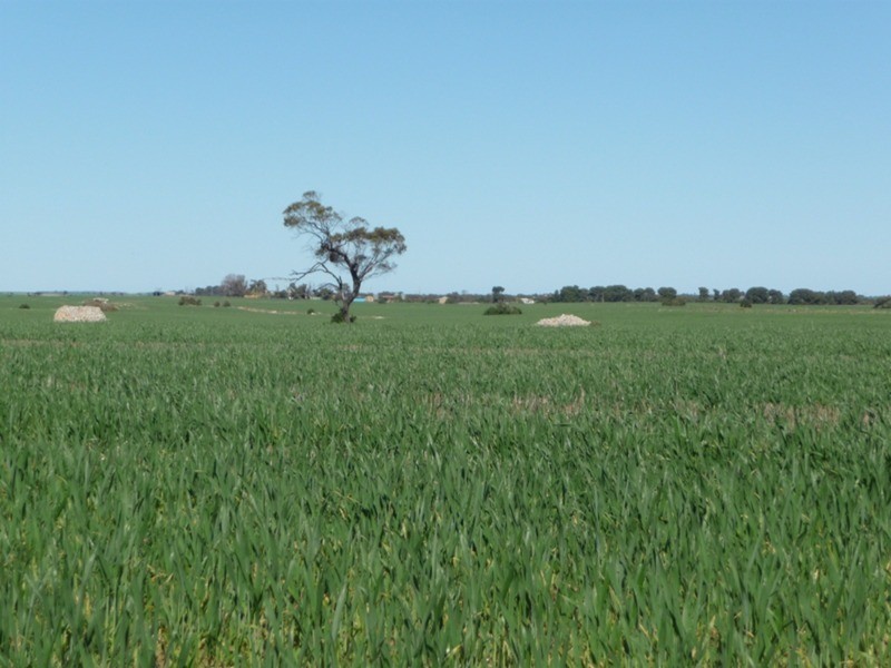 Lot 9 Harry Butler Road, Yorketown SA 5576