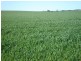 Lot 9 Harry Butler Road, Yorketown SA 5576