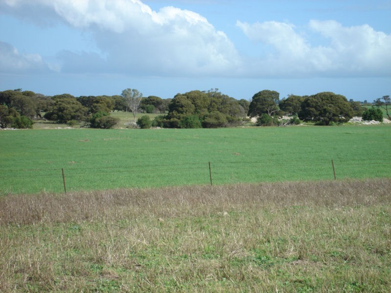 286 Hd Of Dalrymple, Yorketown SA 5576