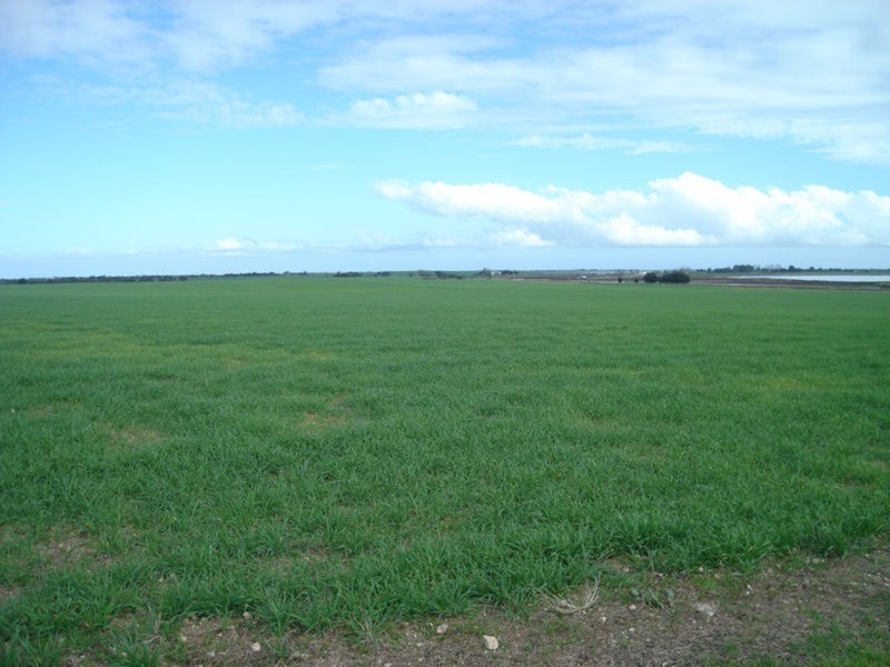 286 Hd Of Dalrymple, Yorketown SA 5576