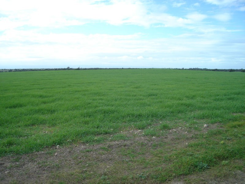 286 Hd Of Dalrymple, Yorketown SA 5576