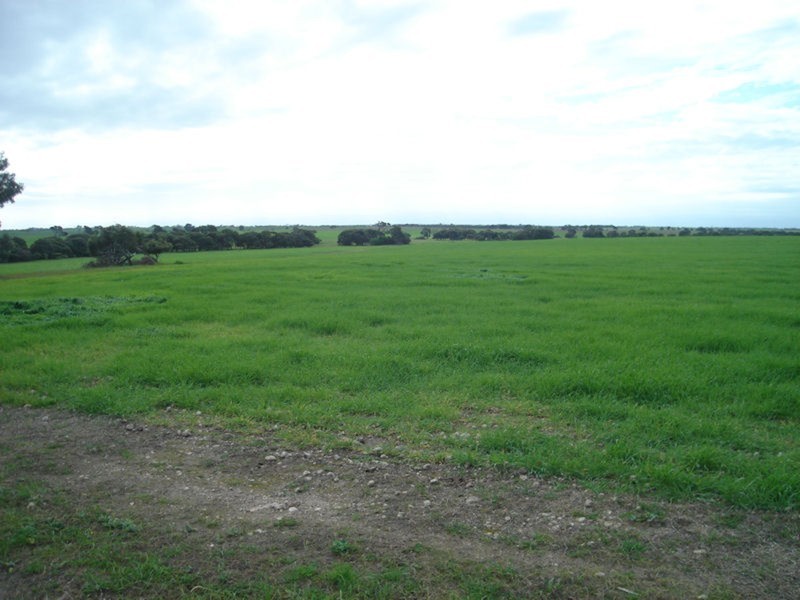 286 Hd Of Dalrymple, Yorketown SA 5576