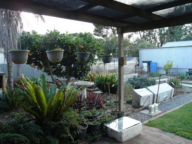 3 Honner Avenue, Yorketown SA 5576