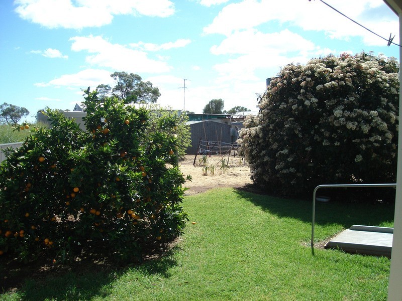 14 Curramulka Road, Minlaton SA 5575