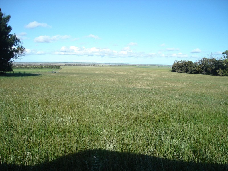 Lot 12 Yorketown Road, Warooka SA 5577