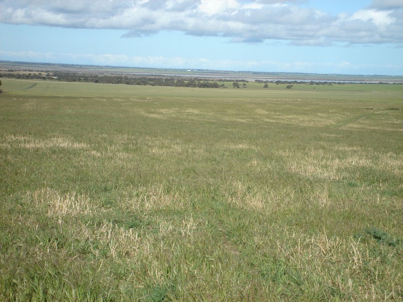 Lot 12 Yorketown Road, Warooka SA 5577