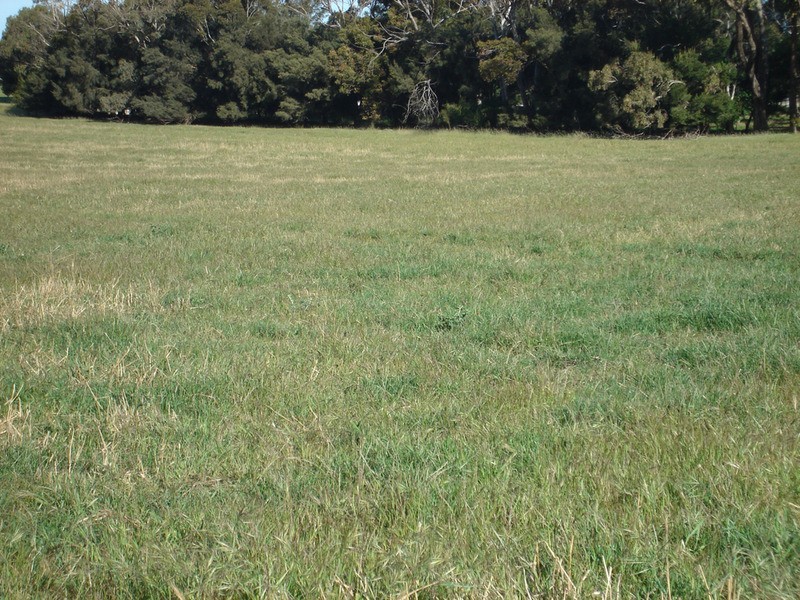 Lot 12 Yorketown Road, Warooka SA 5577