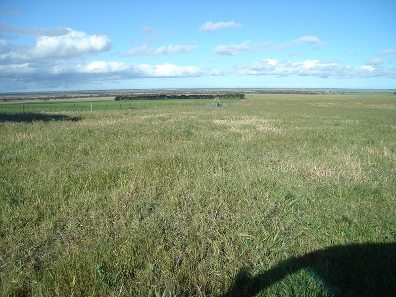 Lot 12 Yorketown Road, Warooka SA 5577