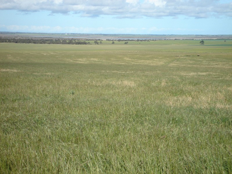 Lot 12 Yorketown Road, Warooka SA 5577