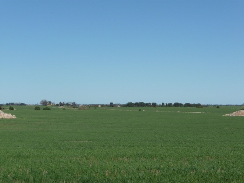 Lot 9 Harry Butler Road, Yorketown SA 5576