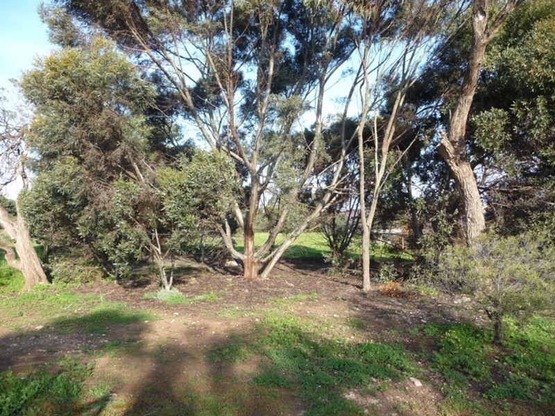 6 – 8 West Terrace, Wool Bay SA 5575