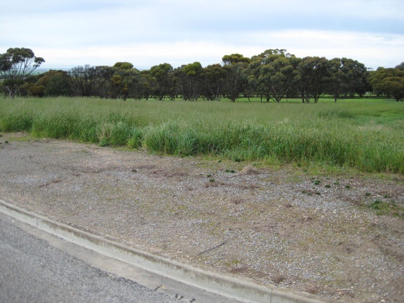 Lot 4 Sturt Bay Road, Warooka SA 5577
