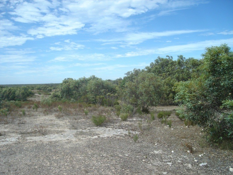 Sections 175, 183, 228, 232 & 233Levens Road, Warooka SA 5577