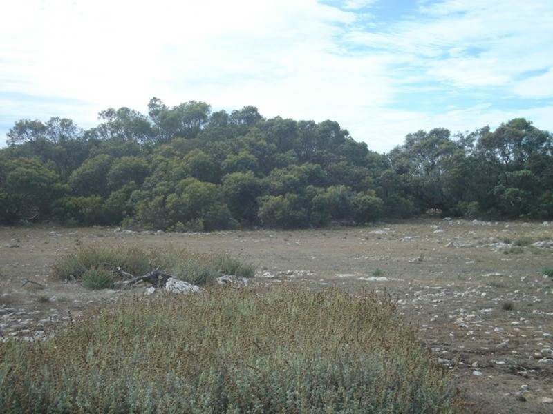 Sections 175, 183, 228, 232 & 233Levens Road, Warooka SA 5577