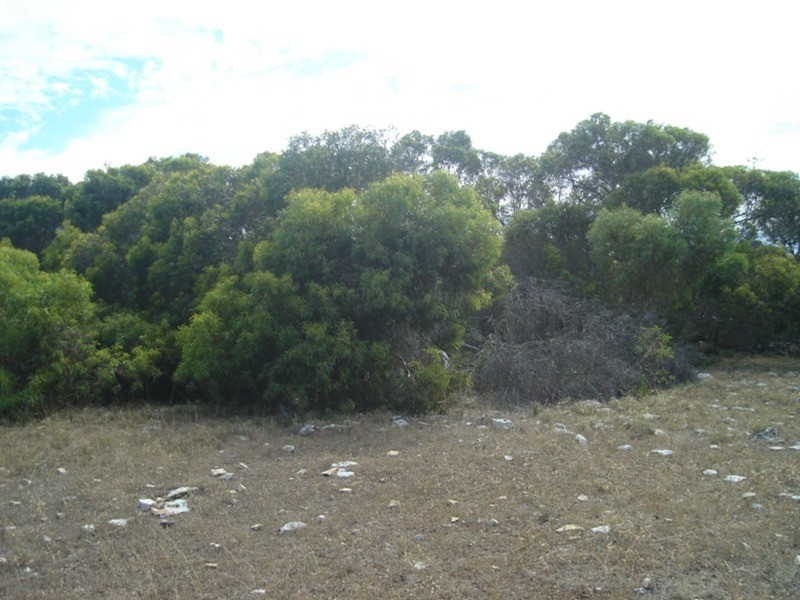 Sections 175, 183, 228, 232 & 233Levens Road, Warooka SA 5577