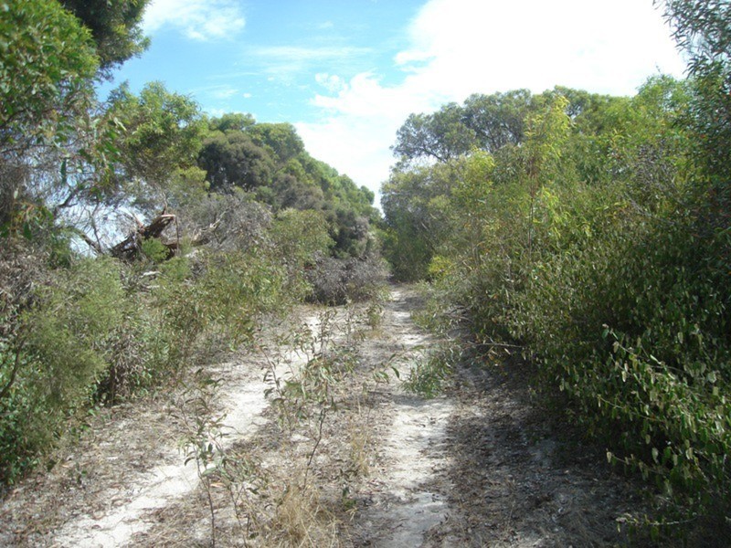 Sections 175, 183, 228, 232 & 233Levens Road, Warooka SA 5577