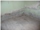 34 Blanche Street, Edithburgh SA 5583
