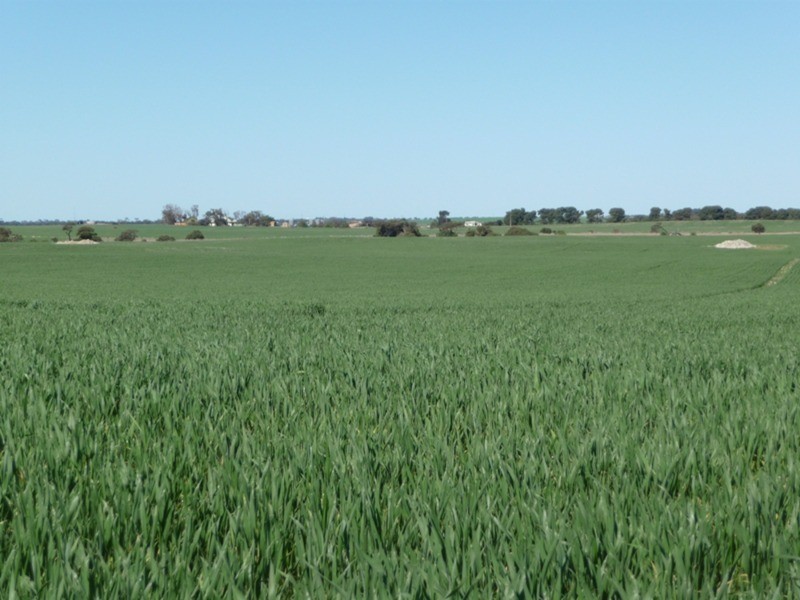 Lot 9 Harry Butler Road, Yorketown SA 5576