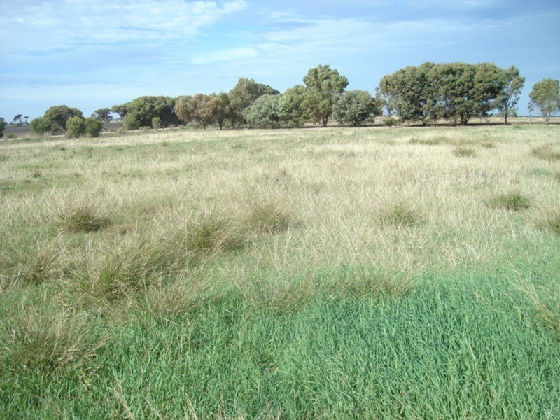 Lot 5 Pookawarowie Road, Hardwicke Bay SA 5575