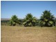 Lot 6 Penhale Street, Warooka SA 5577
