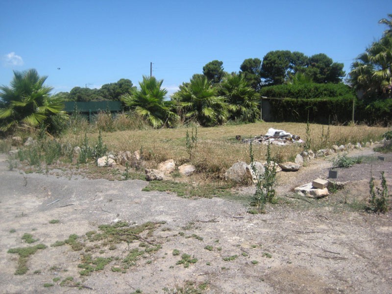 Lot 6 Penhale Street, Warooka SA 5577