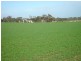 Lot’s 10,11, 12 & 13 School and Airport Road, Yorketown SA 5576