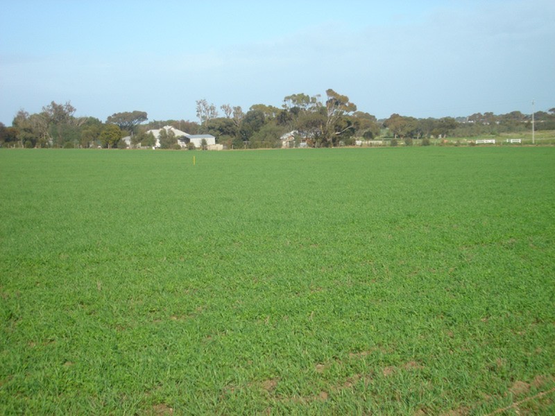 Lot’s 10,11, 12 & 13 School and Airport Road, Yorketown SA 5576
