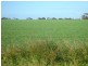 Lot’s 10,11, 12 & 13 School and Airport Road, Yorketown SA 5576