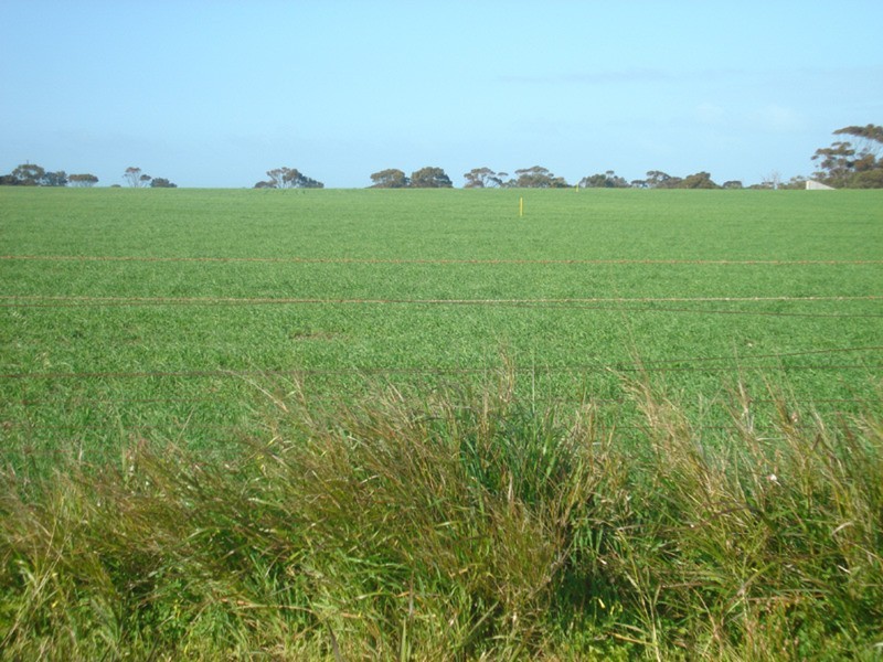 Lot’s 10,11, 12 & 13 School and Airport Road, Yorketown SA 5576