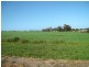 Lot’s 10,11, 12 & 13 School and Airport Road, Yorketown SA 5576