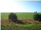 Lot’s 10,11, 12 & 13 School and Airport Road, Yorketown SA 5576