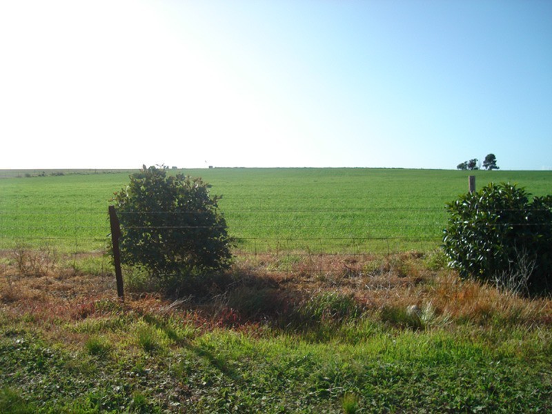 Lot’s 10,11, 12 & 13 School and Airport Road, Yorketown SA 5576