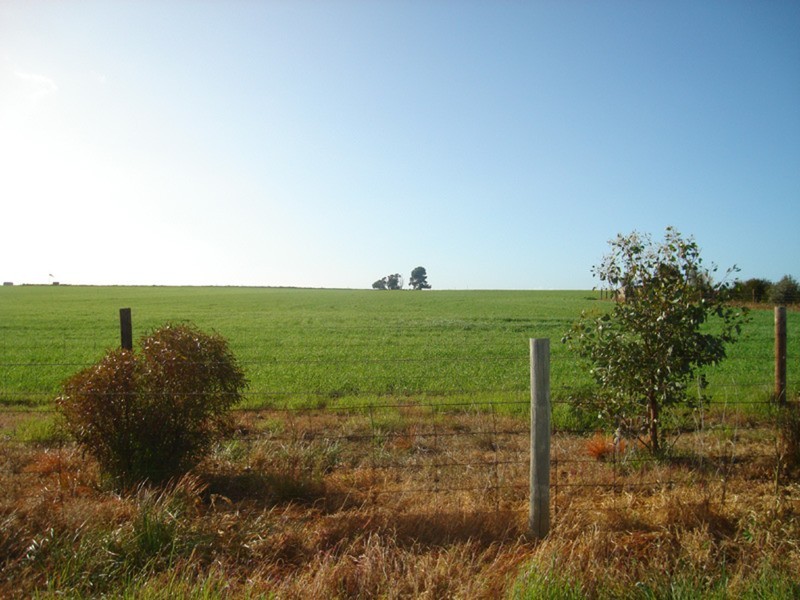 Lot’s 10,11, 12 & 13 School and Airport Road, Yorketown SA 5576