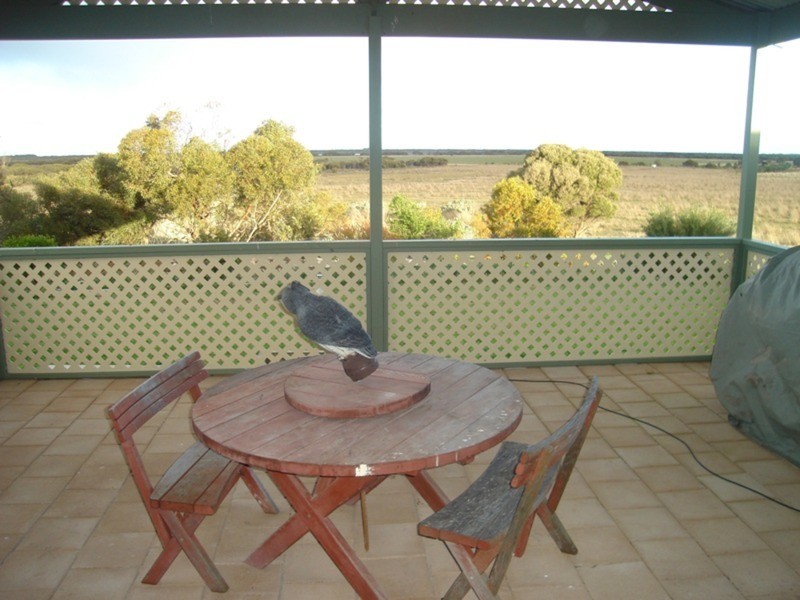 3483 South Coast Road, Sturt Bay via, Warooka SA 5577