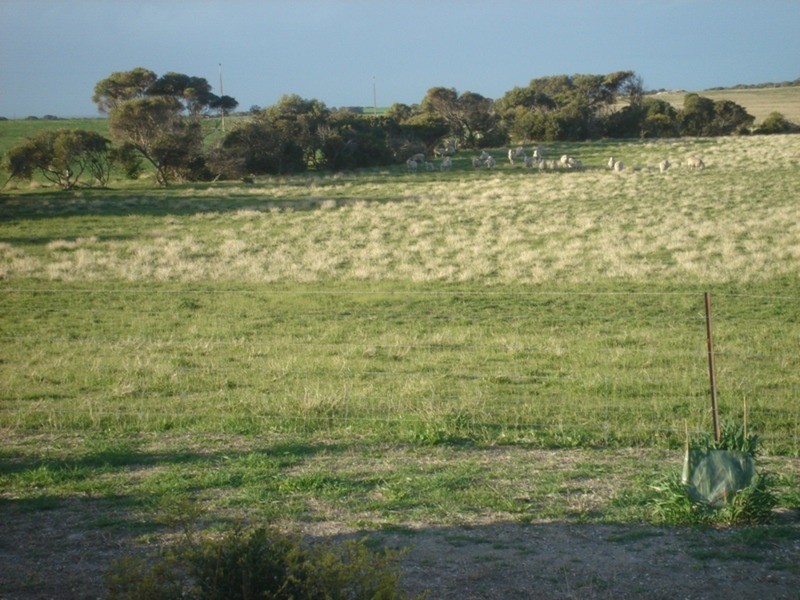 3483 South Coast Road, Sturt Bay via, Warooka SA 5577