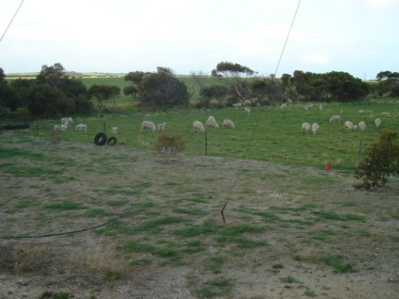 3483 South Coast Road, Sturt Bay via, Warooka SA 5577